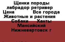 Щенки породы лабрадор ретривер › Цена ­ 8 000 - Все города Животные и растения » Собаки   . Ханты-Мансийский,Нижневартовск г.